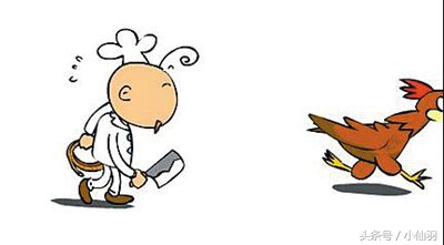 我妈不敢杀鸡,每次都是拿根绳子让鸡上吊