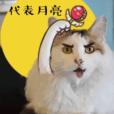 做四有军人,做豚鼠便当