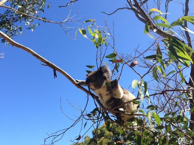 我心飞翔:“十年来最好的宝马”,车主半年实评
