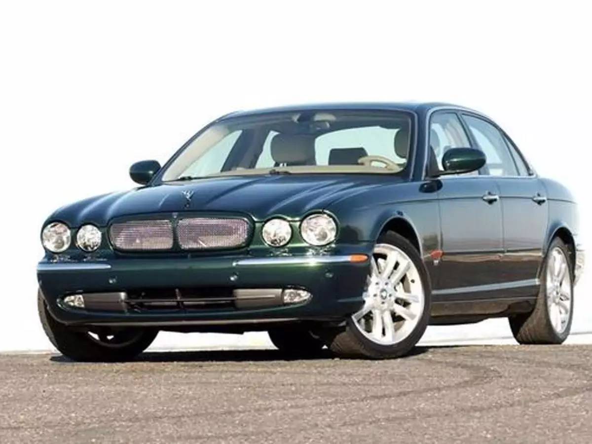 家宠美洲虎,人工饲养的美洲虎