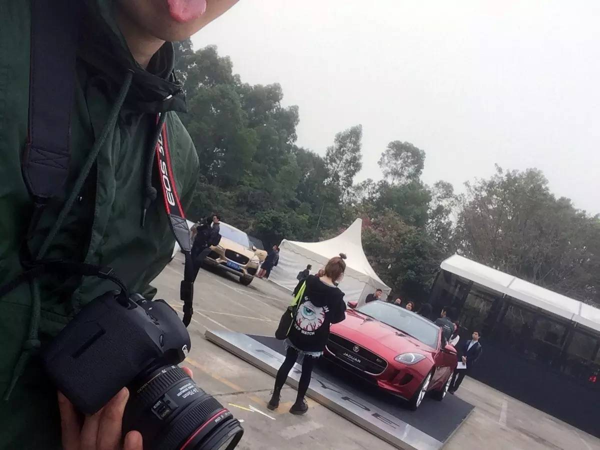 家宠美洲虎,人工饲养的美洲虎