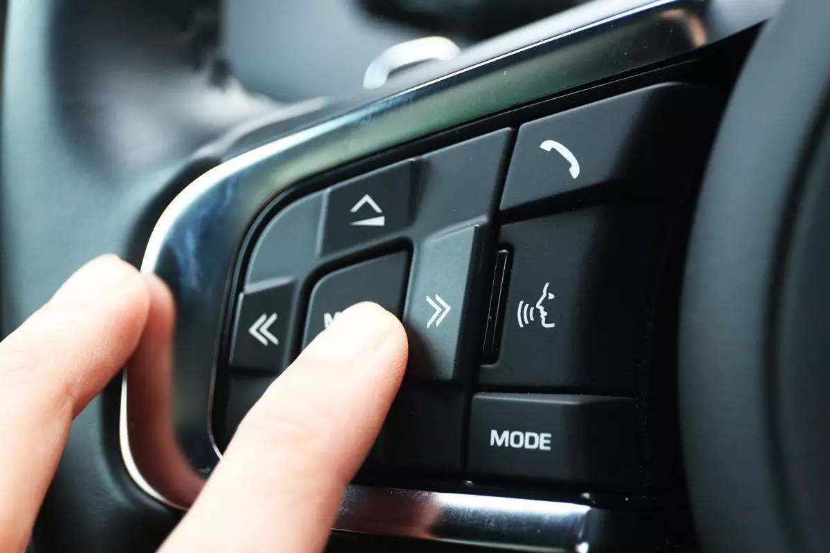 家宠美洲虎,人工饲养的美洲虎