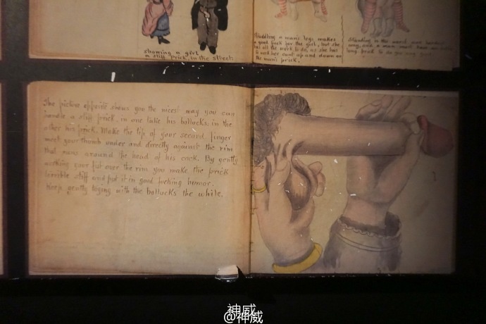 神会玩|XOXO，绯闻纽约的168小时享乐进行时