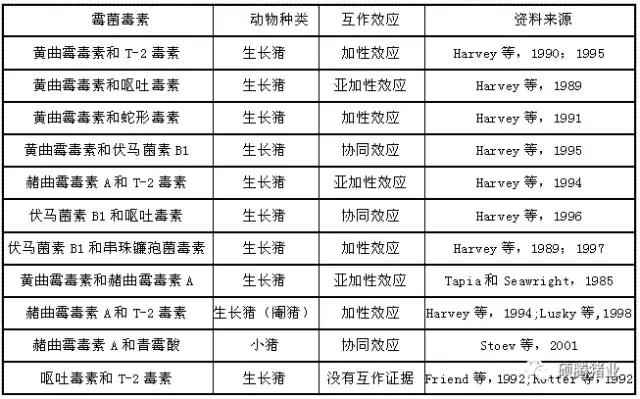 猪霉菌毒素最怕三种克星,猪霉菌毒素中毒有什么症状