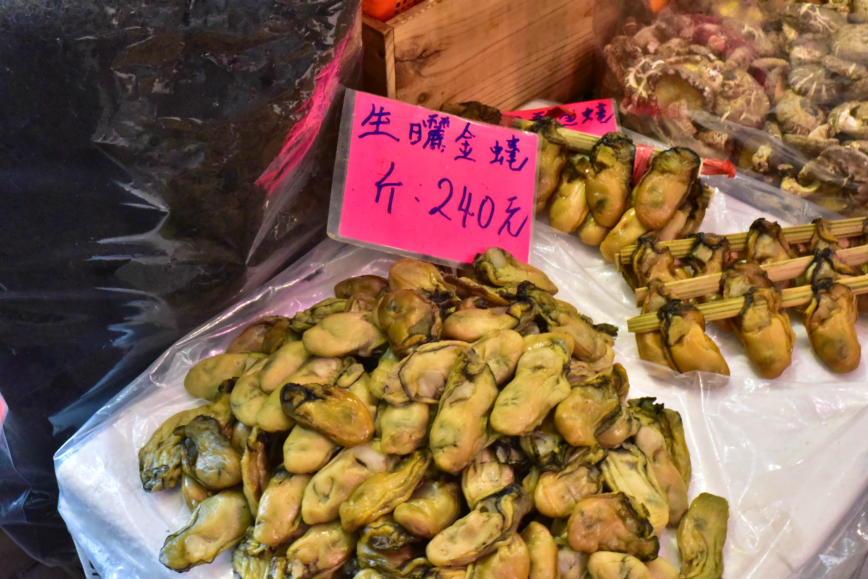 兔子游日本,兔子海边旅行记