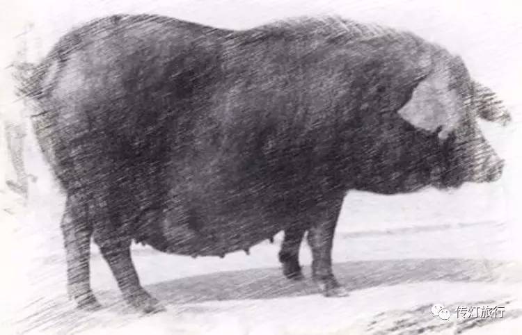 芜湖南陵三里镇,芜湖南陵怎么样