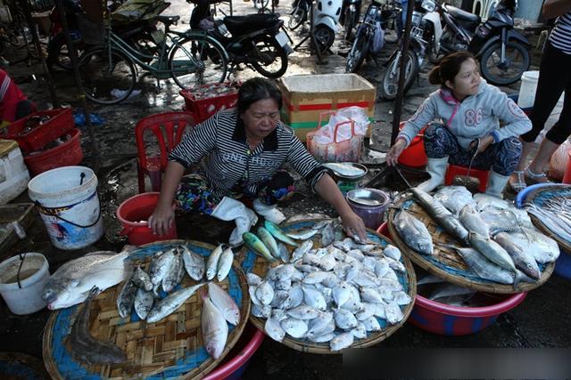 越南芽庄最新海鲜,实拍越南的海鲜集市