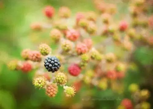 个性签名简单干净正能量短句,经典一句话个性签名句句正能量