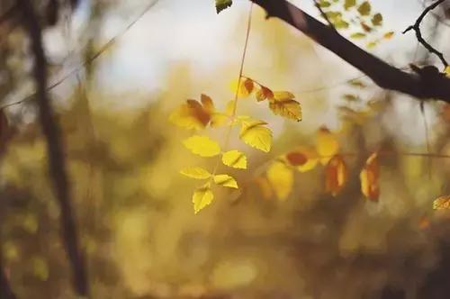 个性签名简单干净正能量短句,经典一句话个性签名句句正能量