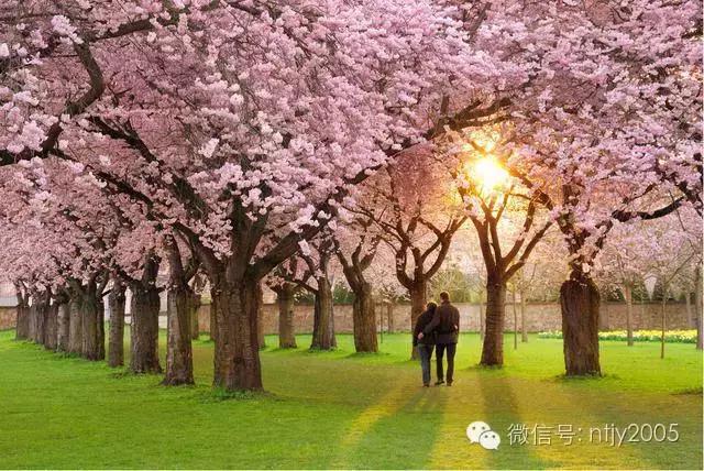 父母脾气太软怎么办,父母关系很僵硬