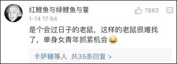 老鼠在车里藏花生嗷嗷叫,老鼠在车里藏粮食