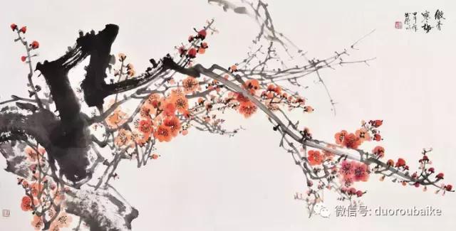 多肉植物为什么砍头,多肉植物可以二次砍头吗