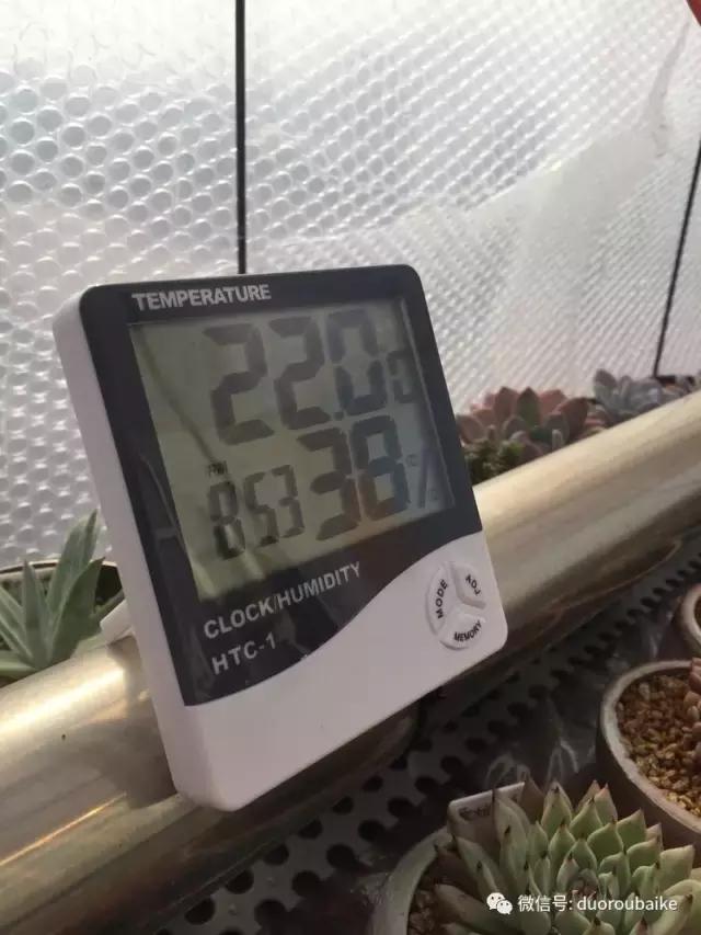 没有暖气的包邮区，肉肉照样美美的！