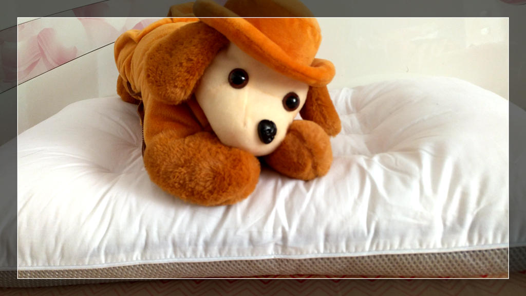 好睡眠就选好枕头,一款好的枕头带来健康睡眠