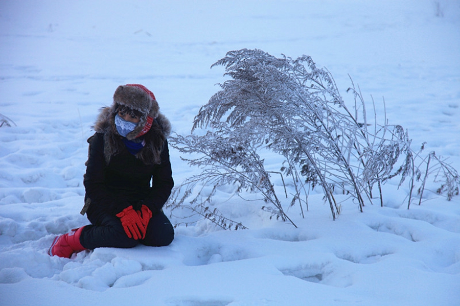 吉林雾凇岛的好看的雾凇倒影图片,吉林雾凇岛和雪谷雾凇岭