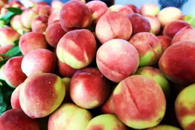 福建汀州土特产,福建零食特产有哪些