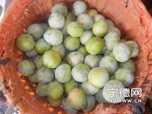 福建汀州土特产,福建零食特产有哪些