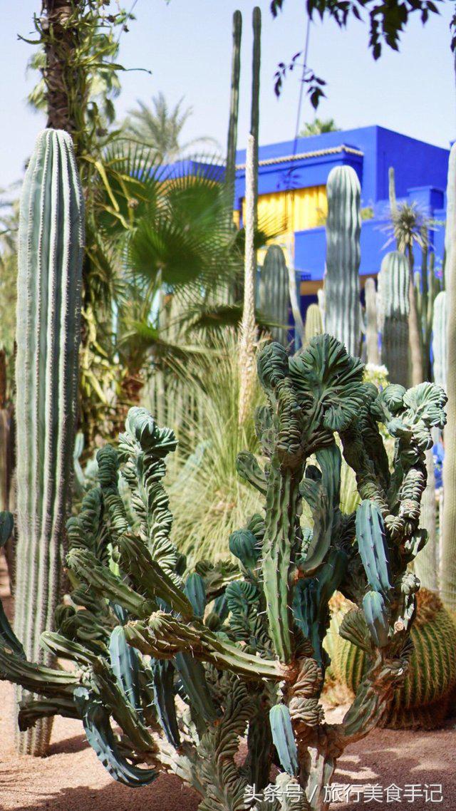 摩洛哥不被坑攻略,摩洛哥现状及问题