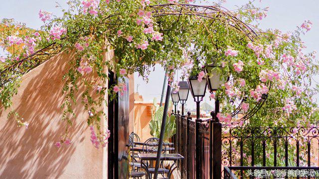 摩洛哥不被坑攻略,摩洛哥现状及问题