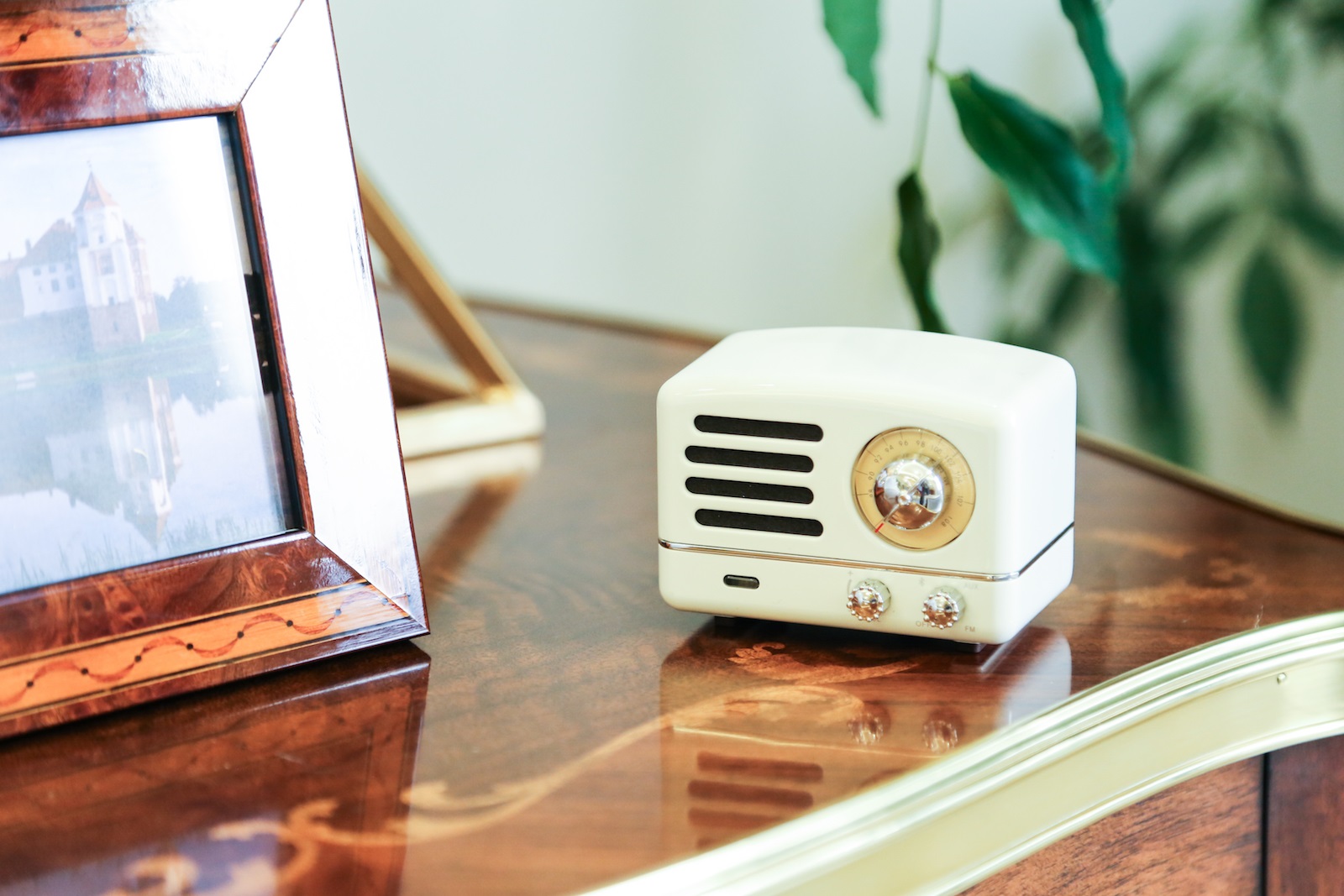 猫王小王子otr声音,猫王小王子otr评测