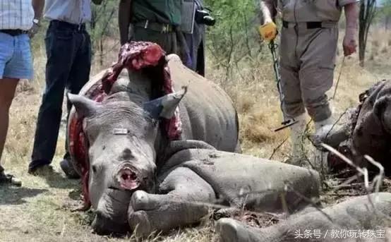 平民必买的宝石,这八种宝石不能买