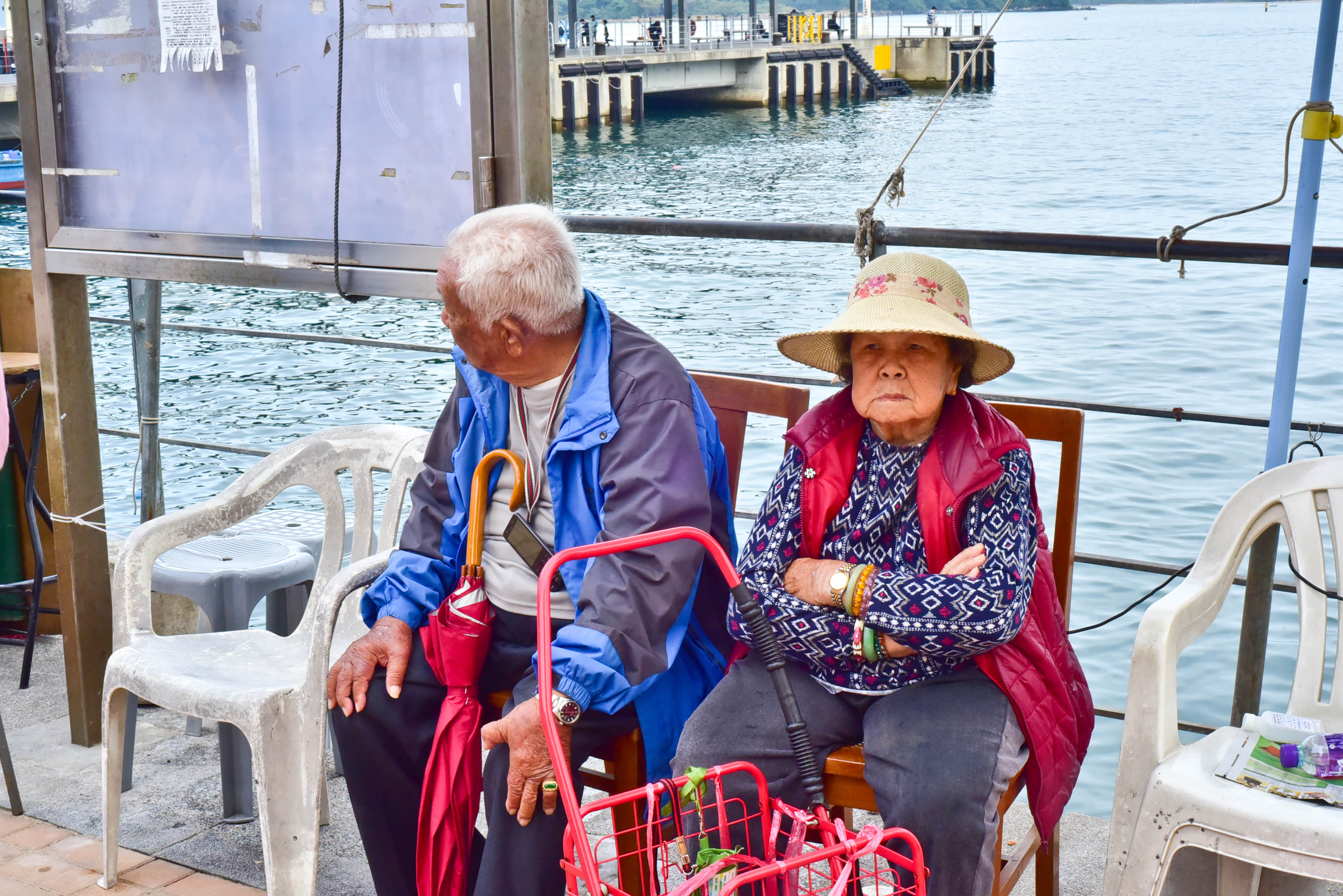 兔子游日本,兔子海边旅行记