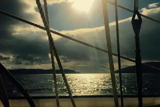 来自艺术的回响：须有作为