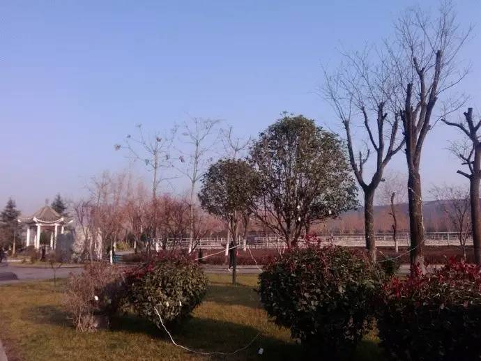 西安蓝田汤峪温泉度假山庄,西安凌舞山庄温泉度假村