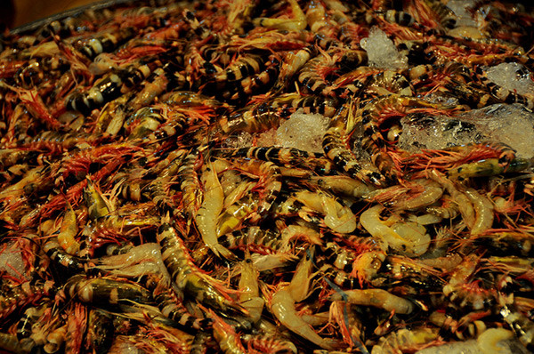 越南芽庄最新海鲜,实拍越南的海鲜集市