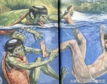 奇异动物大盘点,好奇异的动物