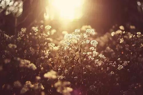 个性签名简单干净正能量短句,经典一句话个性签名句句正能量