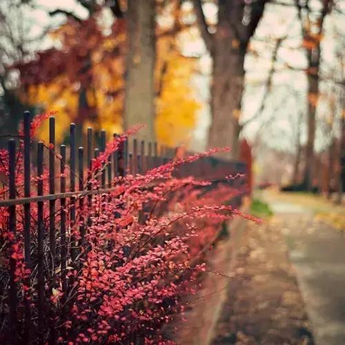 个性签名简单干净正能量短句,经典一句话个性签名句句正能量