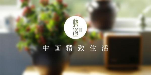 兰花到底美在哪里为什么那么贵,兰花之美只有中国人最懂