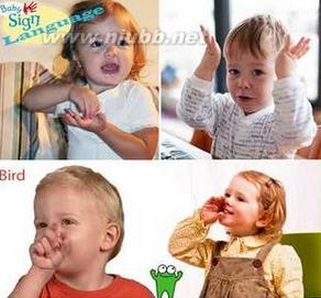 宝宝的手语怎么做,宝宝手语视频大全