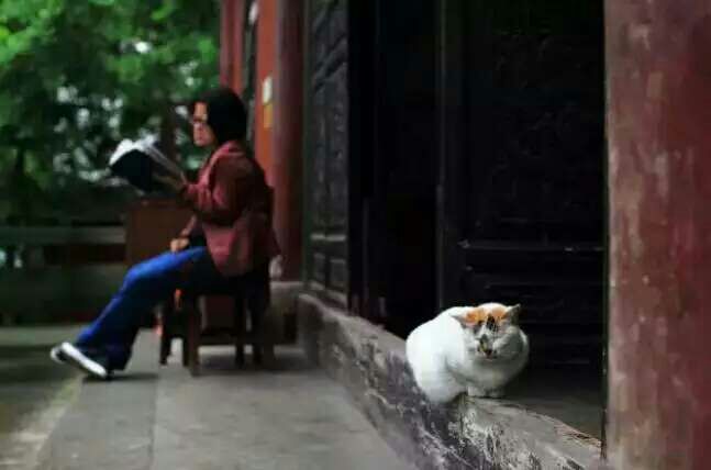 给摄影爱好者的十二条摄影经验,看完这组摄影作品你还淡定吗