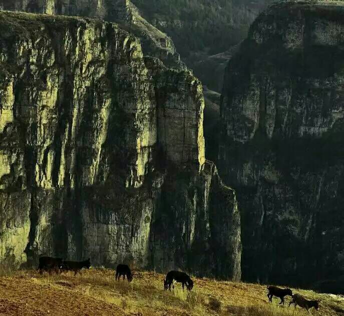 给摄影爱好者的十二条摄影经验,看完这组摄影作品你还淡定吗