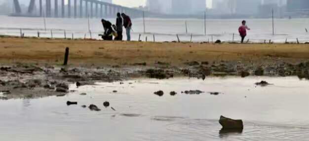 给摄影爱好者的十二条摄影经验,看完这组摄影作品你还淡定吗