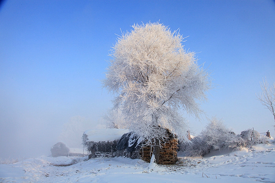 吉林雾凇岛的好看的雾凇倒影图片,吉林雾凇岛和雪谷雾凇岭