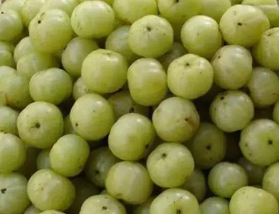 福建汀州土特产,福建零食特产有哪些