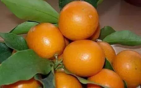 福建汀州土特产,福建零食特产有哪些