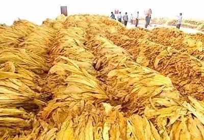 福建汀州土特产,福建零食特产有哪些