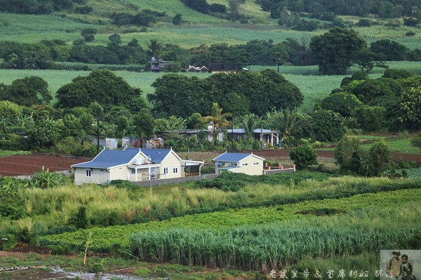 在外国街头演唱中国乐器,在外国街头演奏市集音乐