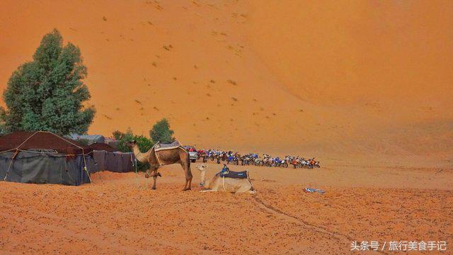 摩洛哥不被坑攻略,摩洛哥现状及问题