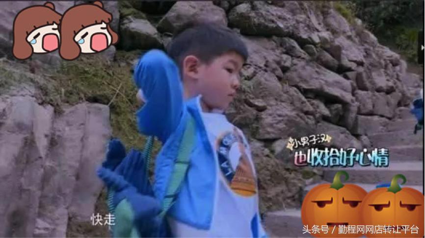 淘宝偷用别人照片是侵版权吗,淘宝商家偷我照片