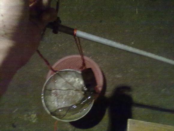 在农村钓鱼用什么虫子,农村钓鱼用什么饵料最好