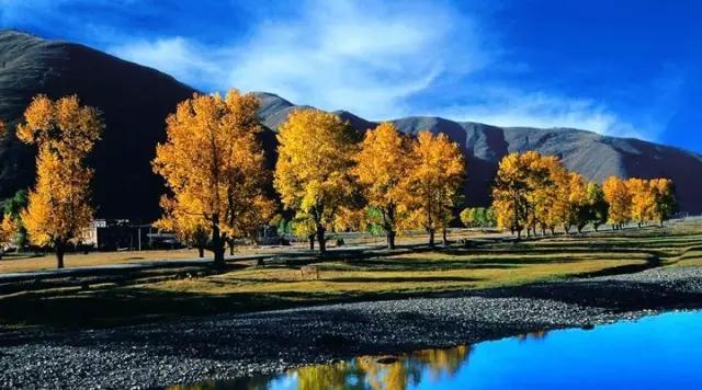 春节从成都出发6天自驾路线,春节三门峡到成都自驾攻略