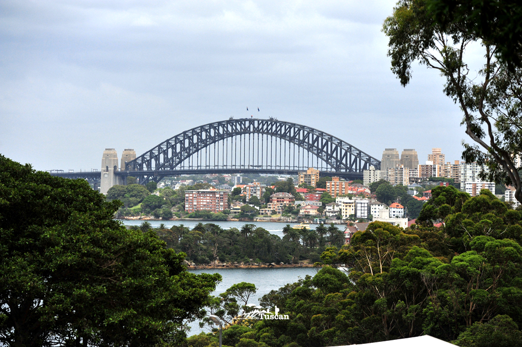 悉尼旅游攻略网红,怎么攻略悉尼