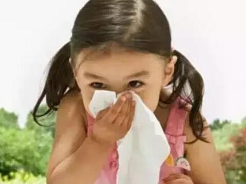 孩子鼻窦炎让父母很头疼,4种鼻窦炎治疗偏方,你就可以放心了