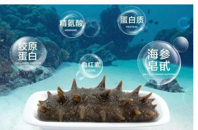 从网上买的海参是真的吗,购买的海参