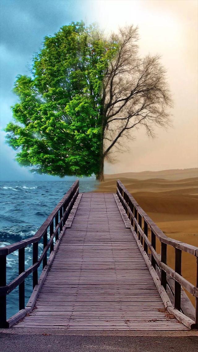 珍藏50张绝美墙纸,花了2000个小时选出十张壁纸